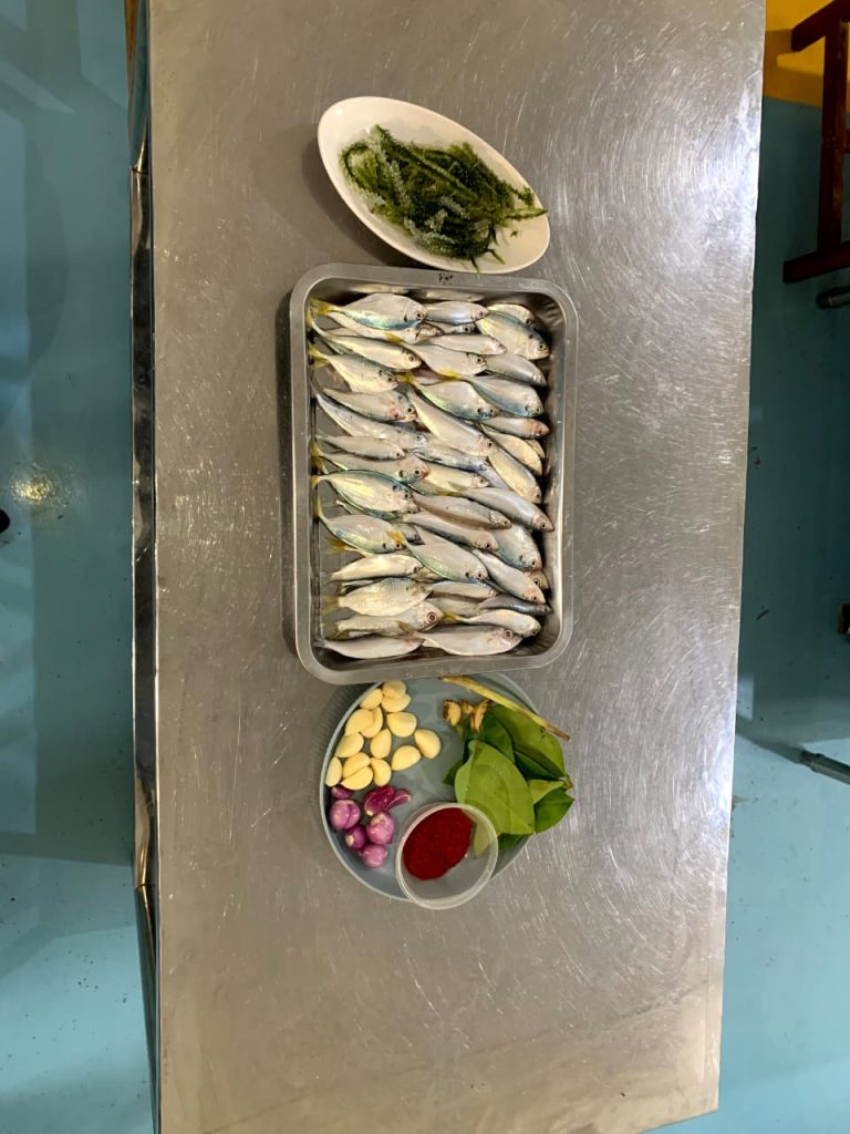 WhatsApp Image 2026-02-07 at 08.40.40